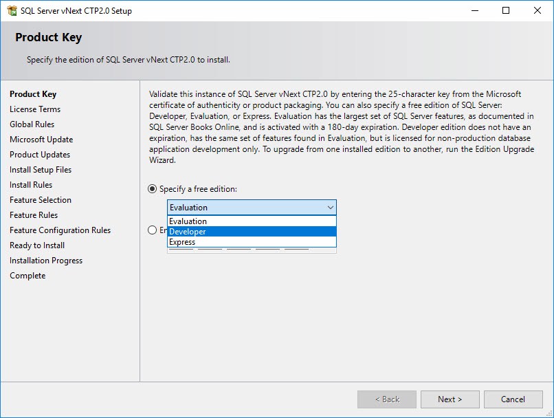 sql server 2017 developer edition