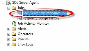 Managing The SSIS Catalog – AndyLeonard.blog()