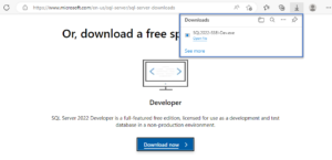 sql server 2022 developer edition free download